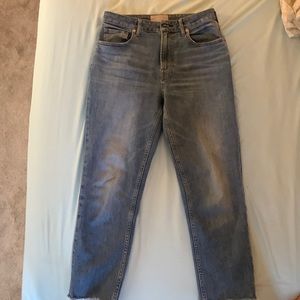 Everlane curvy cheeky jean, ankle size 28